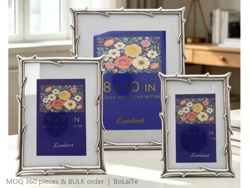 Silver Photo Frame Series